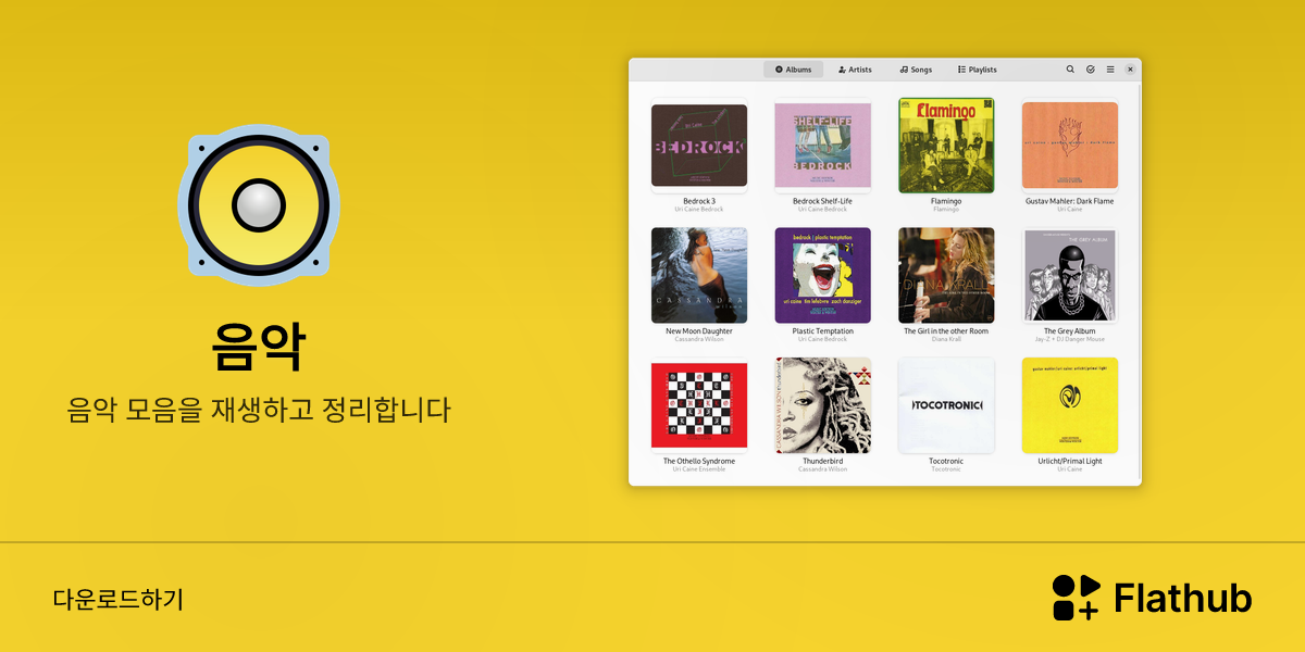Install 음악 on Linux | Flathub