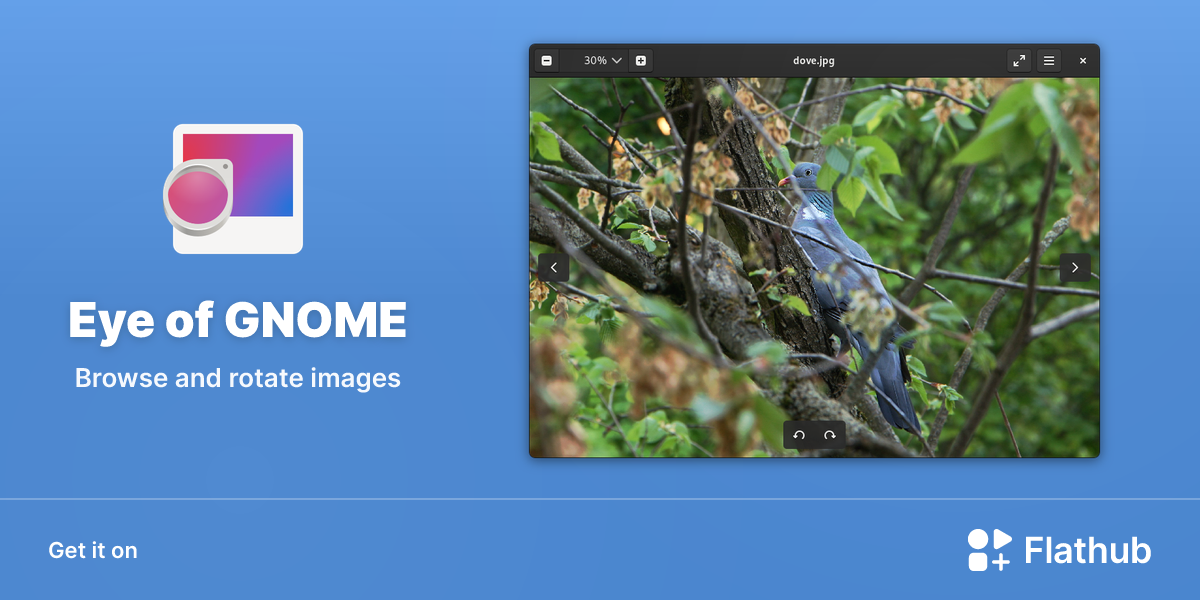 Install Eye of GNOME on Linux | Flathub
