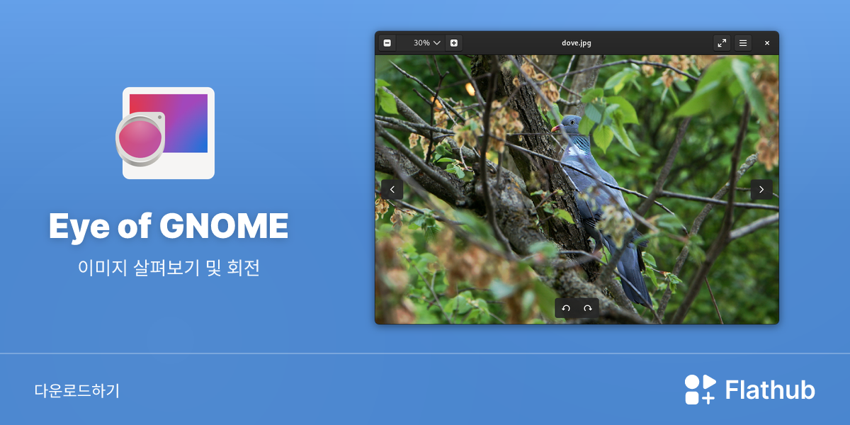 Install Eye of GNOME on Linux | Flathub