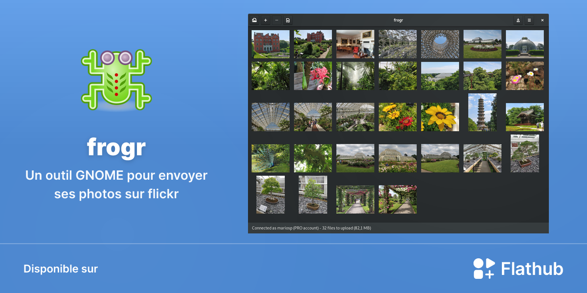 Installer frogr sur Linux | Flathub