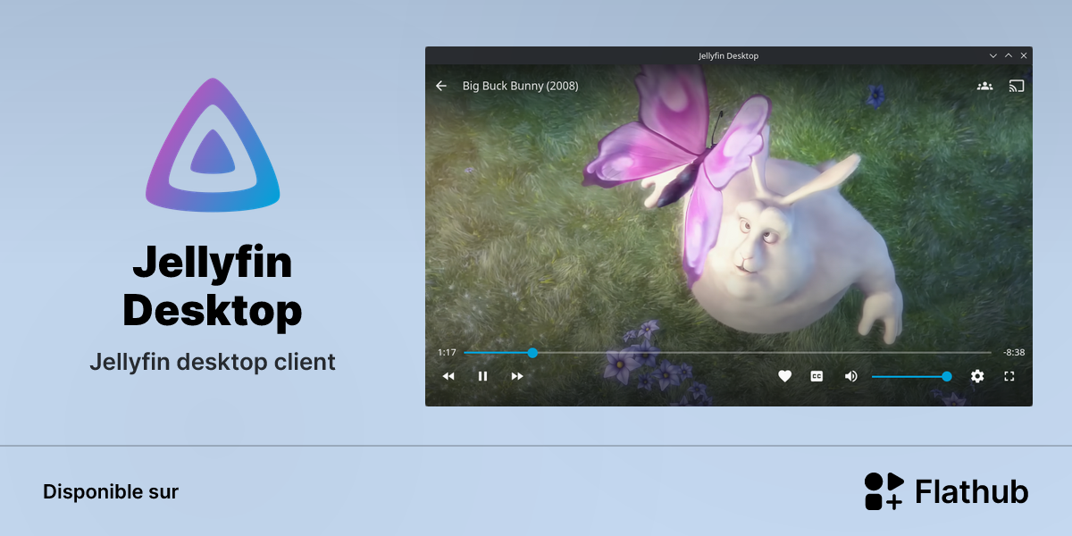 Installer Jellyfin Desktop sur Linux | Flathub