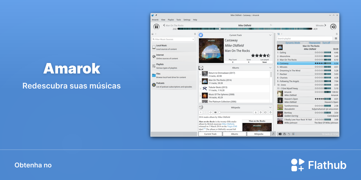 Instalar Amarok no Linux | Flathub