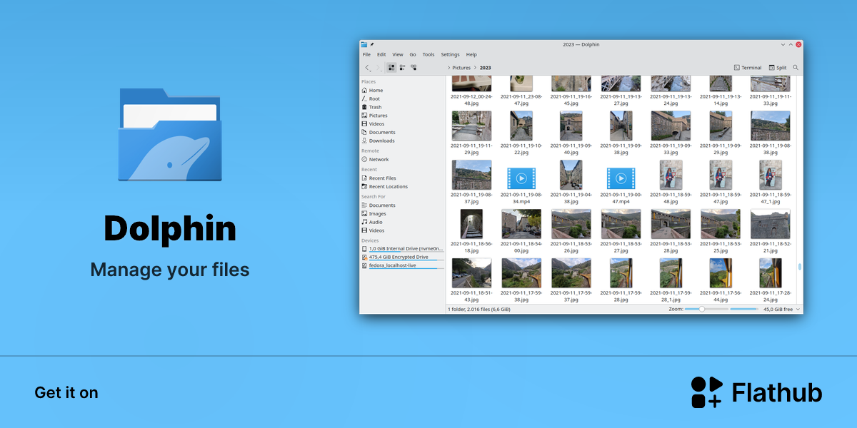Install dolphin on linux flathub