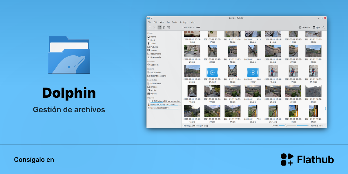 Instalar Dolphin en Linux | Flathub