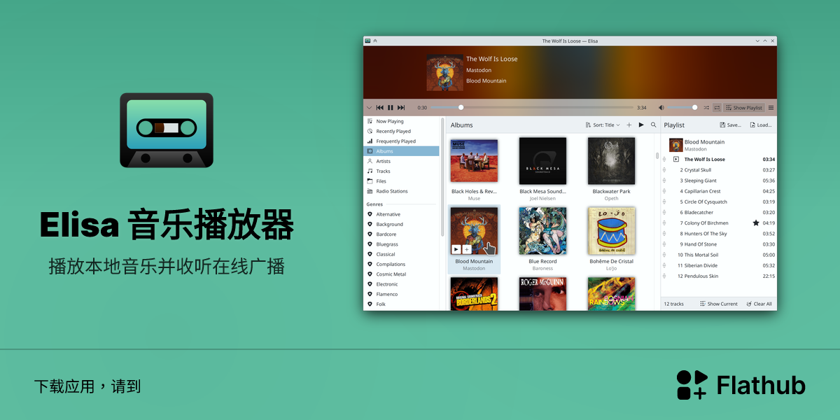在 Linux 上安装 Elisa 音乐播放器 | Flathub