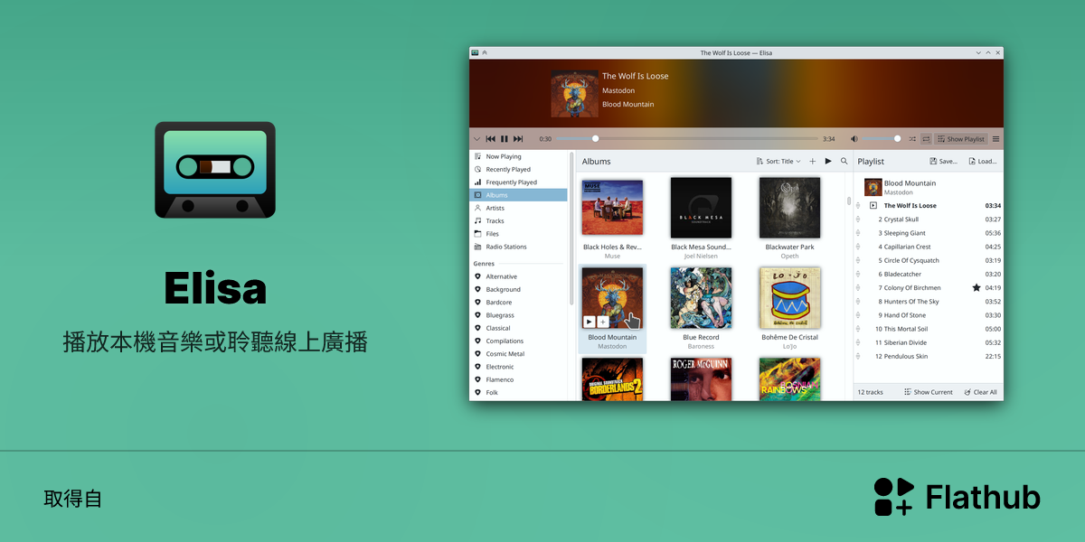 在 Linux 上安裝 Elisa | Flathub