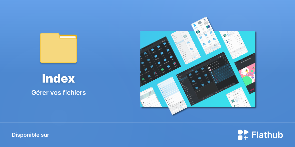Installer Index sur Linux | Flathub