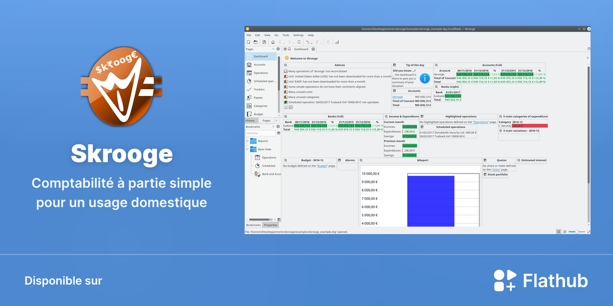 Installer Skrooge sur Linux | Flathub