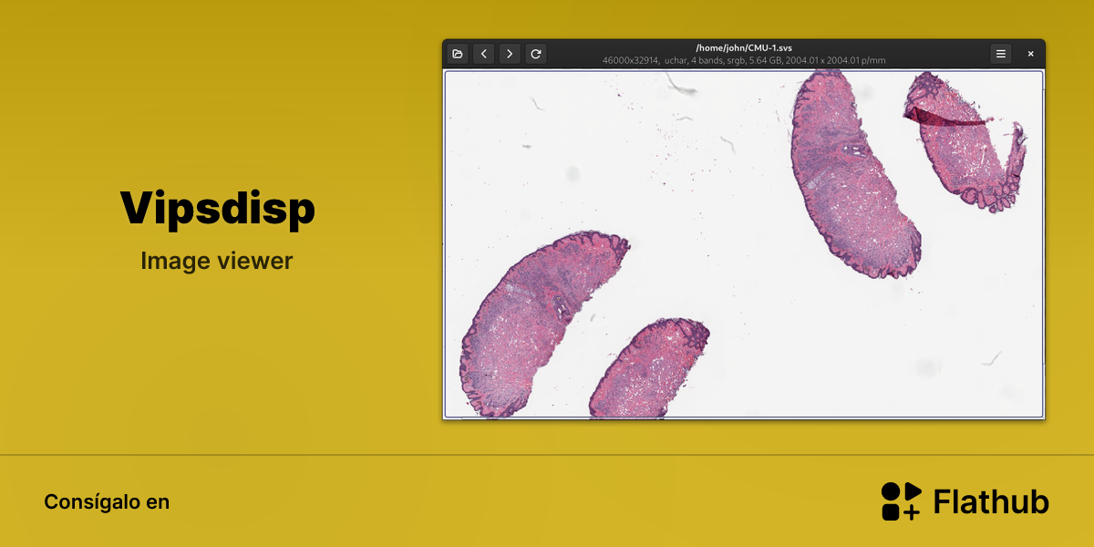 Instalar Vipsdisp en Linux | Flathub