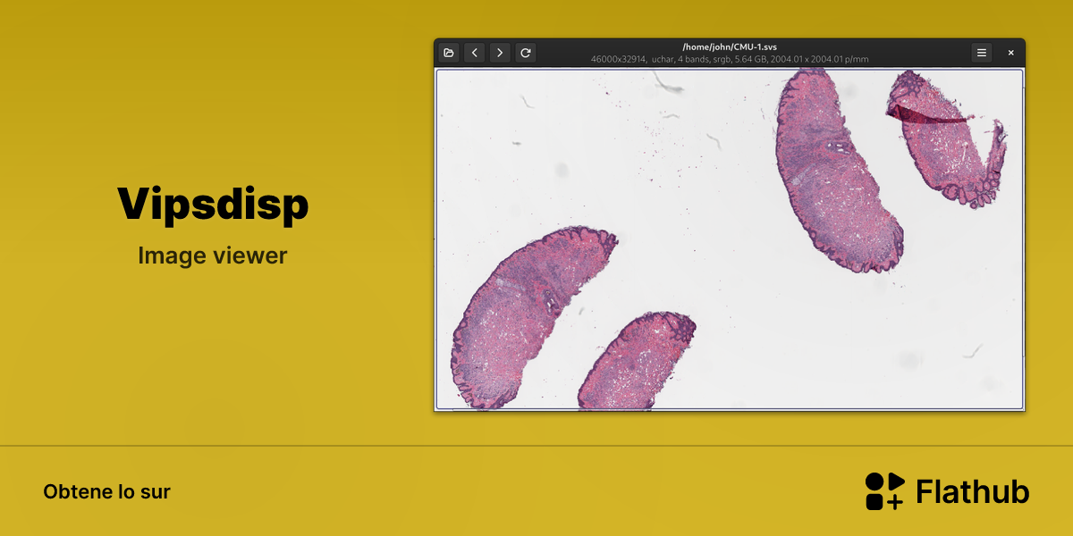 Installar Vipsdisp sur Linux | Flathub