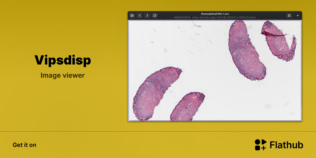 Install Vipsdisp on Linux | Flathub