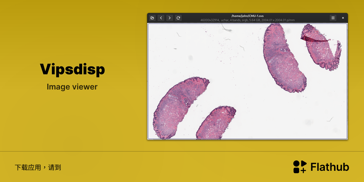 在 Linux 上安装 Vipsdisp | Flathub