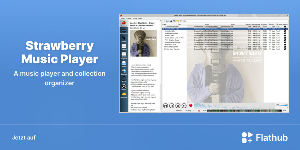 Strawberry Music Player auf Linux installieren | Flathub